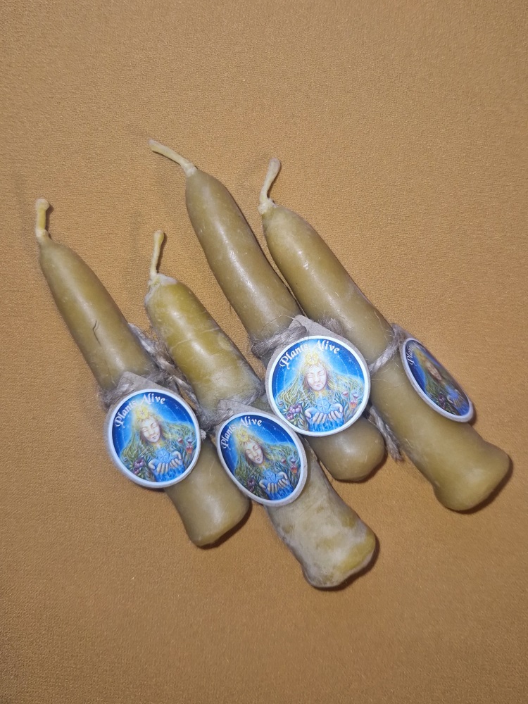 ,,Plants Alive Healing“ bičių vaško žvakės, gamina Rūta Jančiukaitė